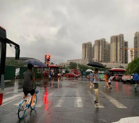 “城市之舟”乘风破浪,成都公交集团“巴士先锋”护航民生(图5)