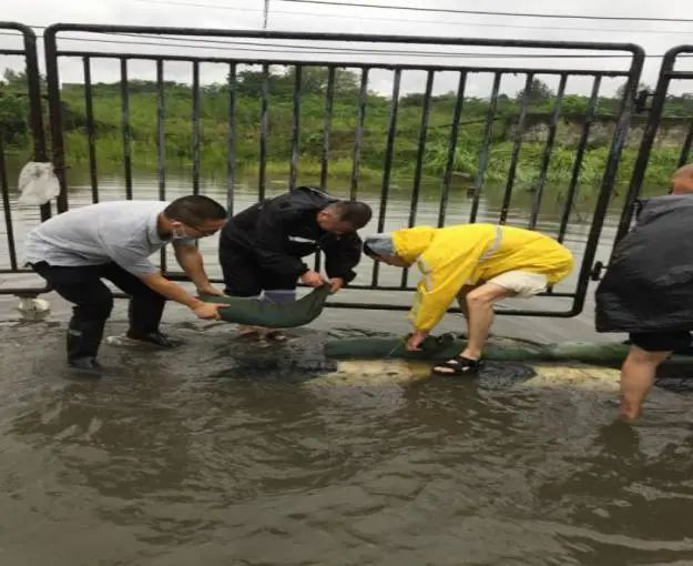“城市之舟”乘风破浪,成都公交集团“巴士先锋”护航民生(图3)
