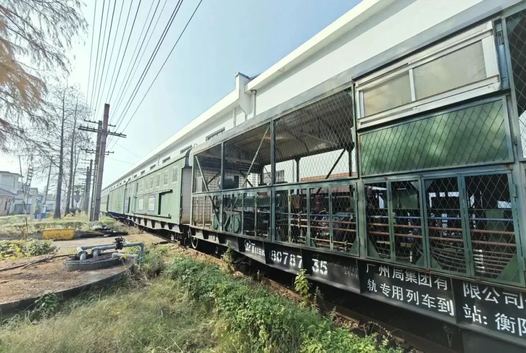 3-240111140559117.jpg