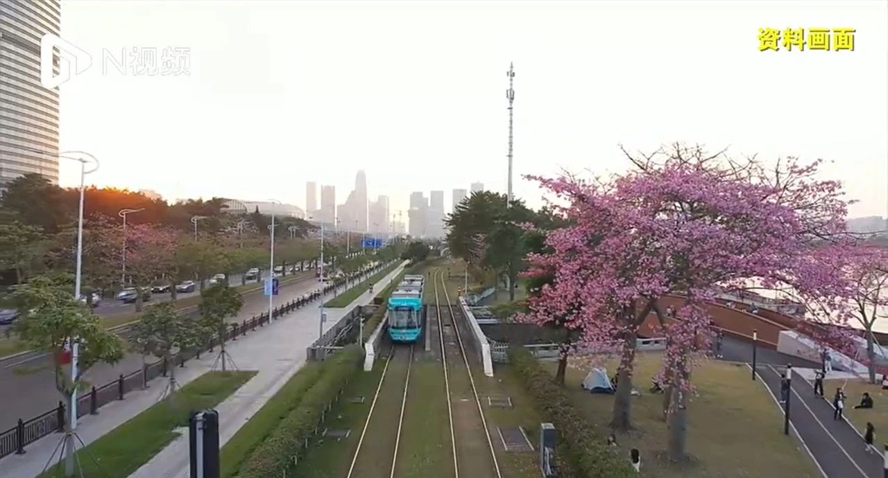 3-2411140T543349.jpg