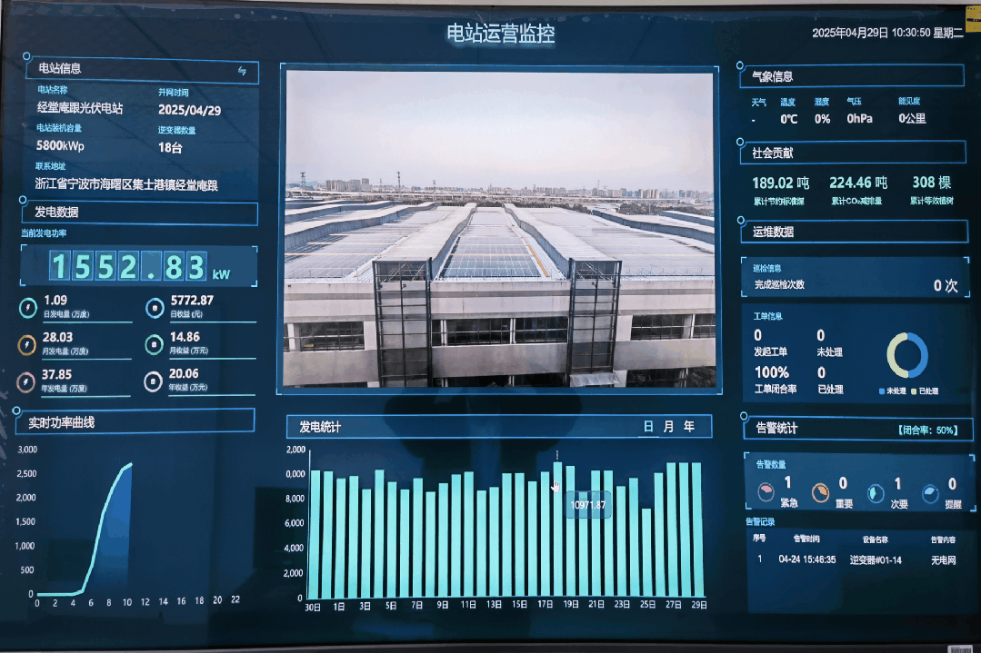 3-25050Q11J9601.gif